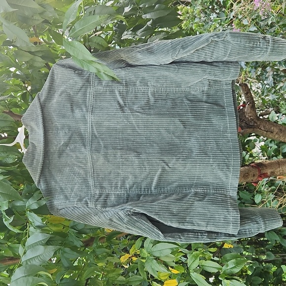 Avic Les Filles, Fall, Winter, Casual Relaxed Olive, Sage Green Corduroy Jacket - Picture 5 of 6